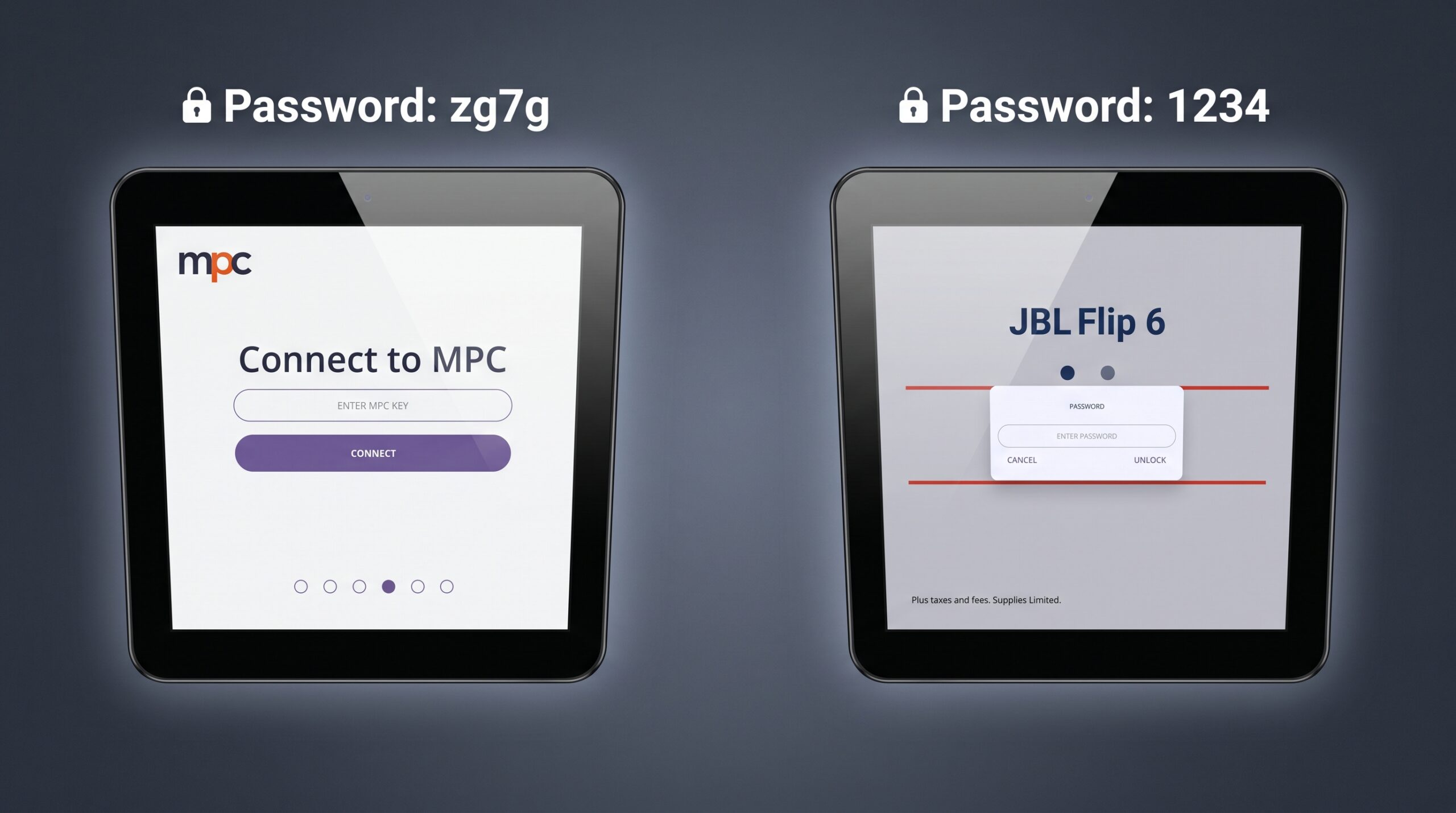 Digital Pricer Passwords